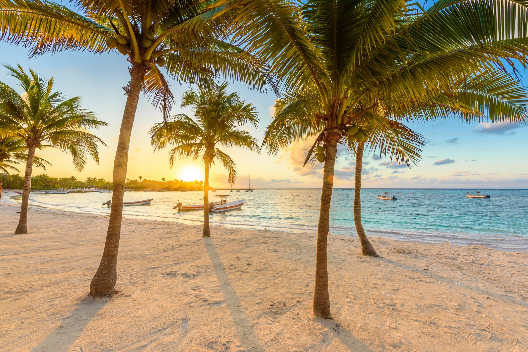 Plage bordée de palmiers au coucher du soleil
