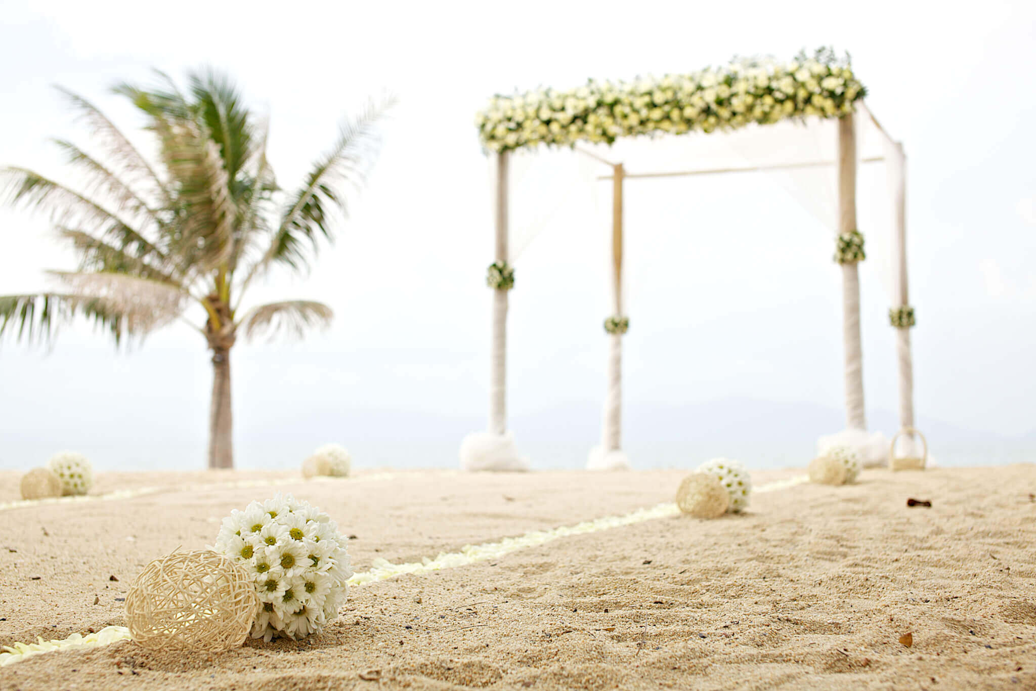 mariage et plage agence